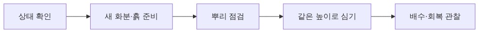 분갈이 순서