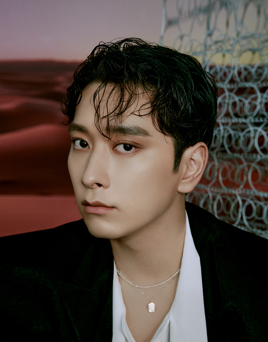 찬성 (CHANSUNG)